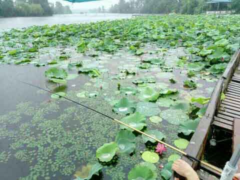 �Ϫɳ���͡����ơ���������