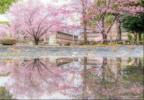 ����������������