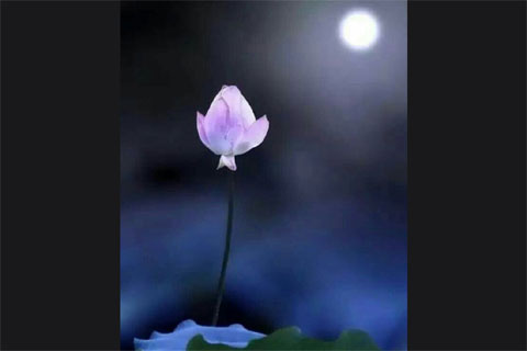 ��ҹ����