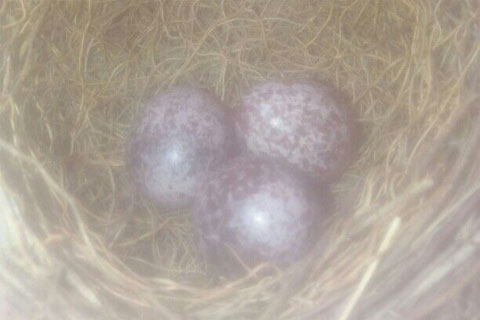 �벻Ҫ���˺�����