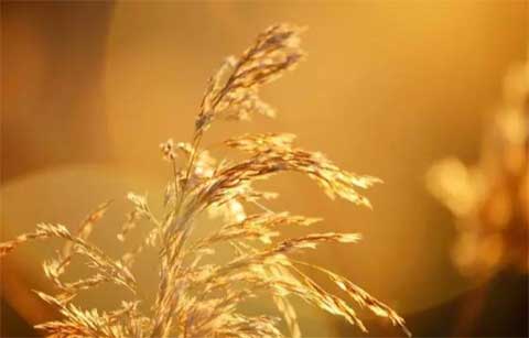 «ݶ������ҡҷ��˼