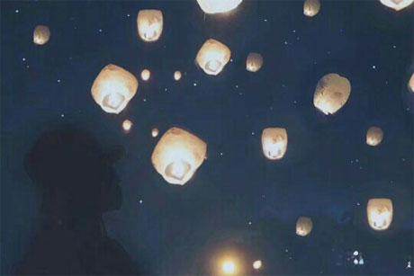 ���Ż�����������