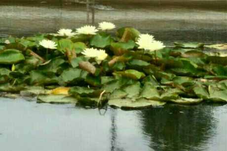 �佭�ϡ�ͮ�ƾ�����һ�� ���Ϻã�