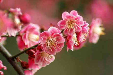 把自己活成喜欢的模样