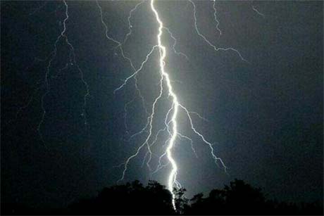 ����ֻΪ���