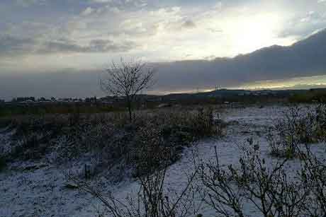 �۽����ѩ���������и�