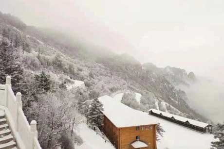 ��ѩ����