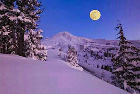 ��ѩ��ʱ���������