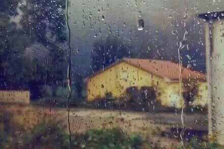 �����顤Ϊ����������Ը�֮