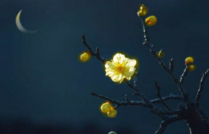 ��÷�������˵