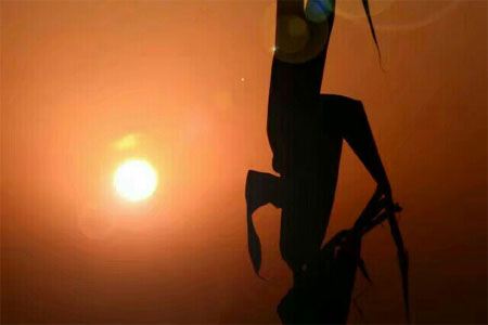 ��ʮ�������