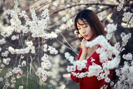 七段筝·花香娇艳醉春心