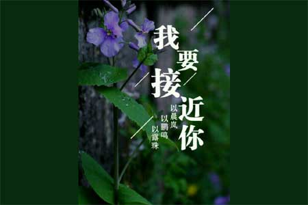 �����۾�