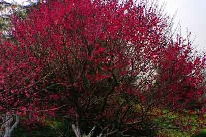 ��������꣨����