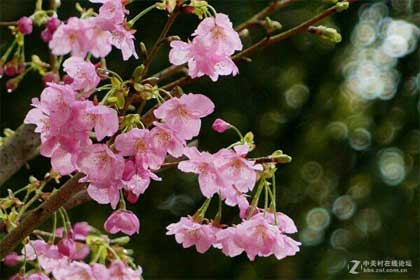 �߾���ӣ��