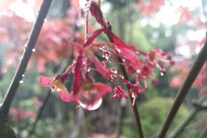 ���겻�����˳�