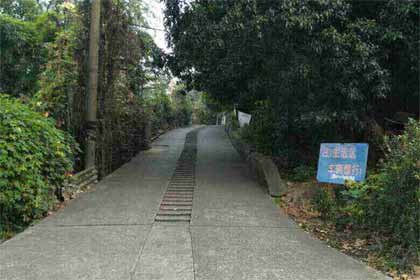 �ϸ��ӡ���ʯ������