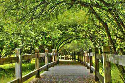 ������ƣ���������