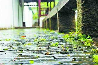 桃源忆故人·少年锦时