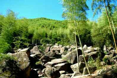 ���ɽ����