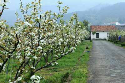 ���� �����