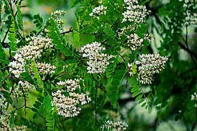 ���ض����»�����