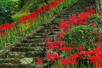 Ư����ֻΪ����ѰƬ����