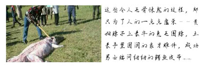 好好做一个人 仅此而已