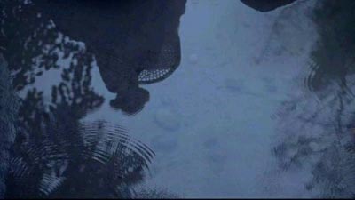 卜算子·矫情月