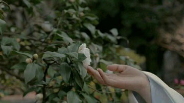 鹧鸪天·酒入喉