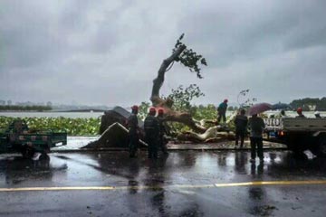 ����㲻��������ж��