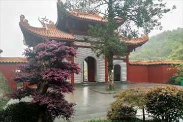 �������������