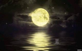 ���粨������