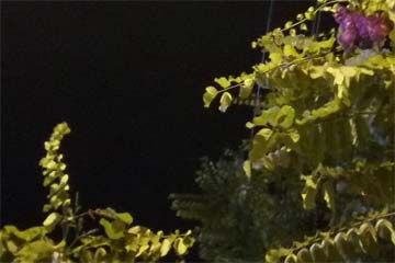 ����