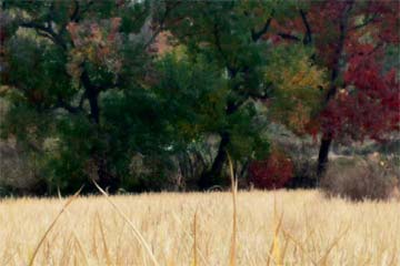 ��(��ʫ����)