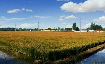 �����Ұ�