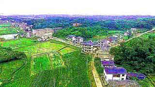 ܽ������--�˶��{