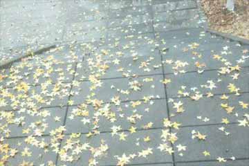 ɽ������裨��һ�ף�