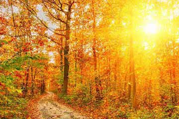 �����������������