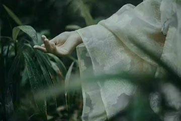 ���Ρ����ƾ�����