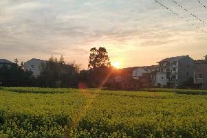 �����и�