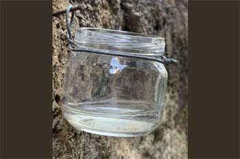 ԭ������ˮ