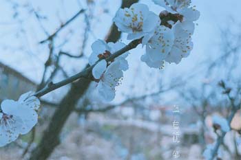 暴风少年