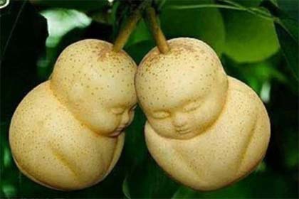 ������