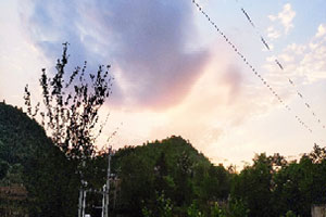 �����ӡ�������դ��