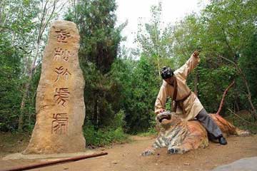 �ξ�����