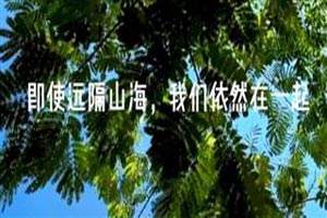 当我走了