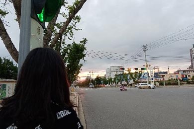 ������֮ǰ