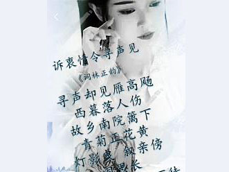 �������� Ѱ����