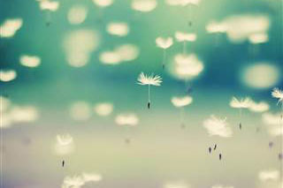 ��Ժ����